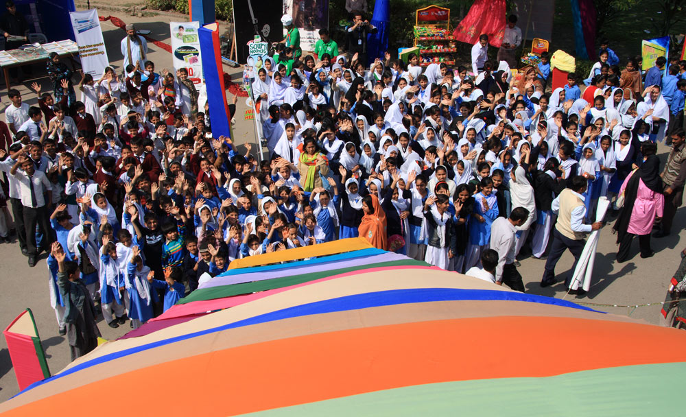 About_The_Little_Art About_The_Little_Art